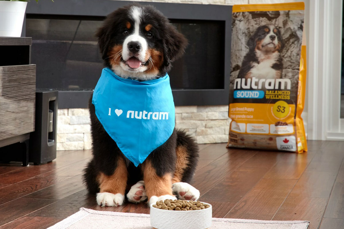 Canadian pet nutrition company expands retail footprint Pet Food